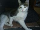 IMG-20170917-WA0005