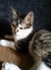 IMG-20170917-WA0006