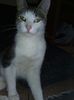 IMG-20170917-WA0009