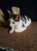 IMG-20170917-WA0013