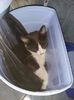 IMG-20170922-WA0002