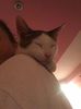 IMG-20170922-WA0005