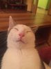 IMG-20170922-WA0007