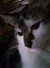 IMG-20170924-WA0000