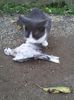 IMG-20170924-WA0001