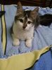 IMG-20170924-WA0004