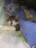 IMG-20170924-WA0006