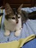 IMG-20170926-WA0000