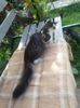IMG-20171015-WA0003