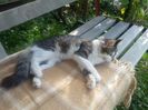 IMG-20171015-WA0007