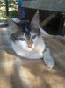 IMG-20171015-WA0008