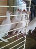 Photo0744