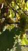 IMG-20160910-WA0046