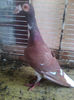 Photo0766