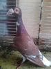 Photo0768