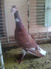 Photo0769