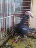 Photo0770