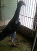 Photo0774