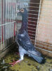 Photo0778