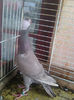 Photo0787