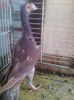 Photo0789