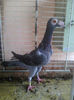 Photo0794