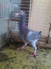 Photo0795