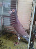 Photo0802