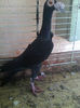 Photo0805