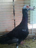 Photo0812