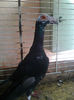 Photo0813