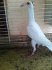 Photo0815