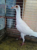Photo0816
