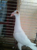 Photo0817
