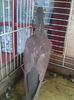 Photo0818
