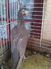 Photo0819