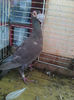 Photo0820