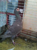 Photo0821