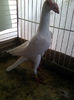 Photo0822