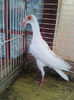 Photo0823