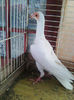 Photo0825