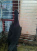 Photo0827