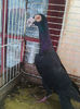 Photo0828