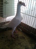 Photo0831