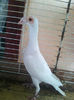 Photo0834