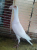 Photo0835