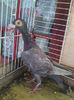 Photo0838