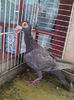 Photo0839