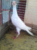Photo0840