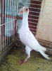 Photo0841